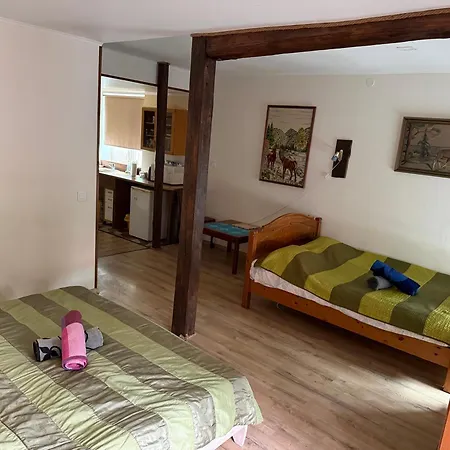 Delta 4 2 Big Bed *
